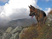 CIMA CADELLE (2483 m.) il 27 settembre 2009 - FOTOGALLERY